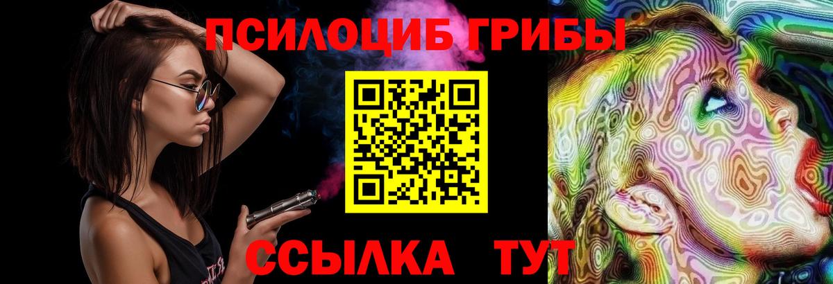 Псилоцибиновые грибы MAGIC MUSHROOMS Кулебаки